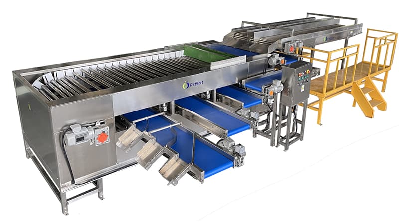 images/1654157253617lychee sorting equipment.jpg